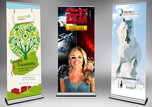 Poster and Banner Design